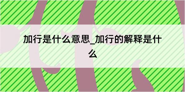 加行是什么意思_加行的解释是什么