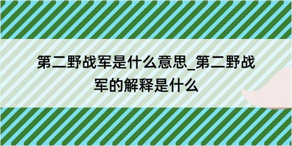 第二野战军是什么意思_第二野战军的解释是什么