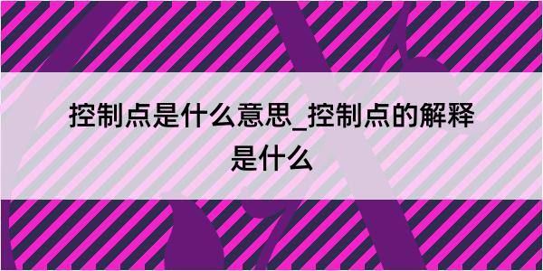 控制点是什么意思_控制点的解释是什么