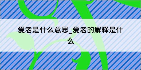 爱老是什么意思_爱老的解释是什么