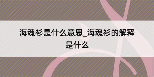 海魂衫是什么意思_海魂衫的解释是什么