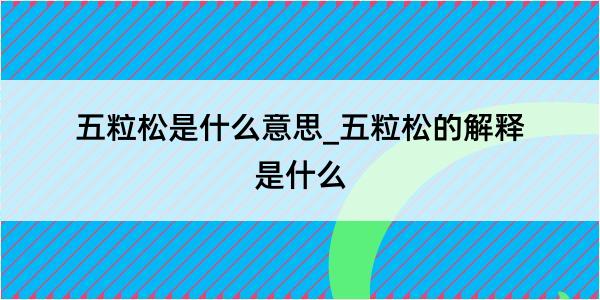 五粒松是什么意思_五粒松的解释是什么