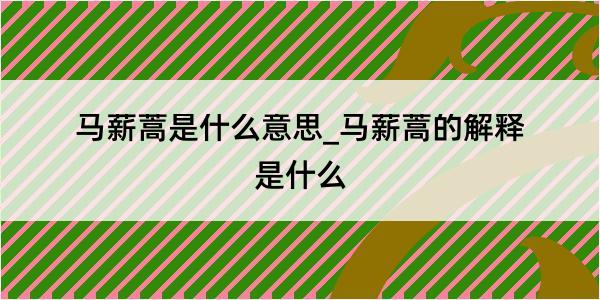 马薪蒿是什么意思_马薪蒿的解释是什么