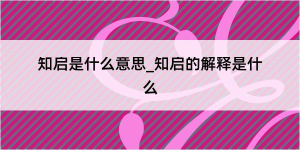 知启是什么意思_知启的解释是什么