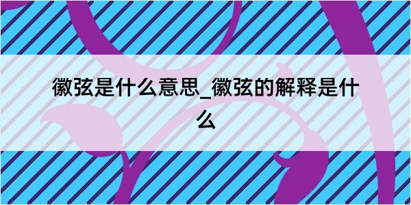 徽弦是什么意思_徽弦的解释是什么