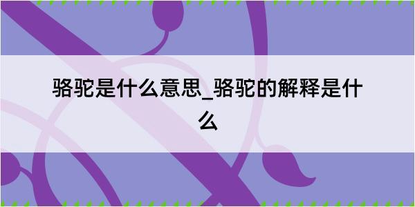 骆驼是什么意思_骆驼的解释是什么