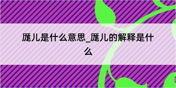 厖儿是什么意思_厖儿的解释是什么