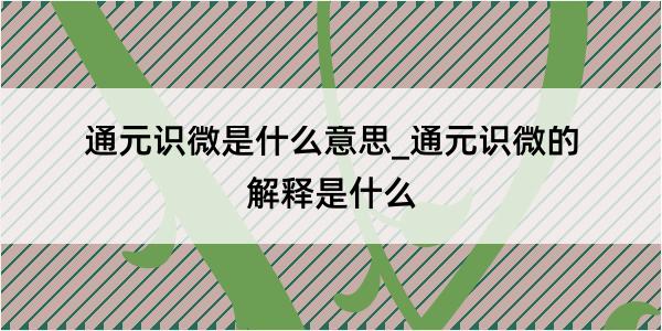 通元识微是什么意思_通元识微的解释是什么