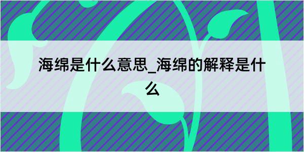 海绵是什么意思_海绵的解释是什么