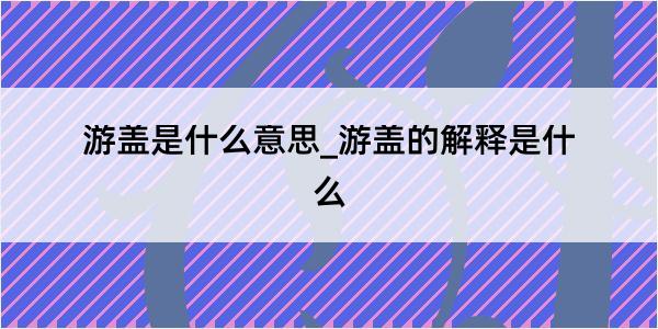 游盖是什么意思_游盖的解释是什么