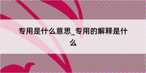 专用是什么意思_专用的解释是什么