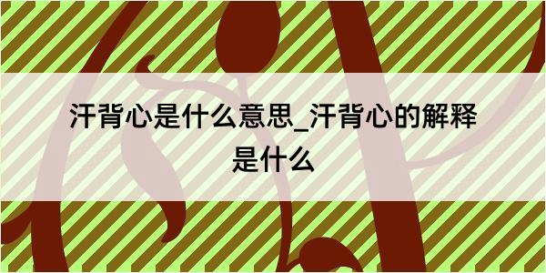 汗背心是什么意思_汗背心的解释是什么