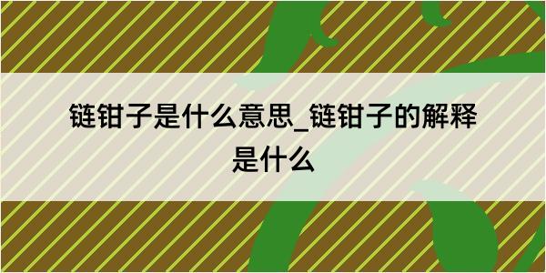 链钳子是什么意思_链钳子的解释是什么