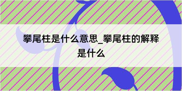 攀尾柱是什么意思_攀尾柱的解释是什么