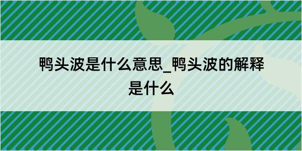 鸭头波是什么意思_鸭头波的解释是什么