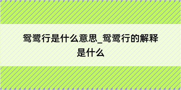 鸳鹭行是什么意思_鸳鹭行的解释是什么