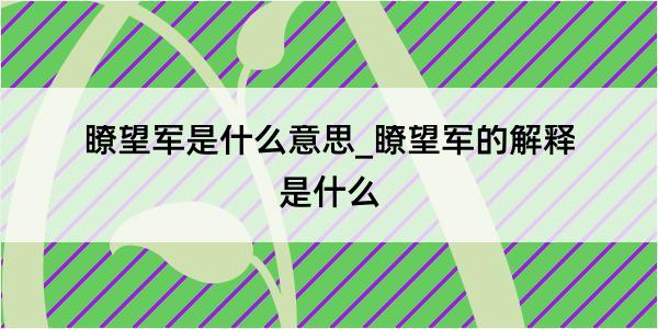 瞭望军是什么意思_瞭望军的解释是什么