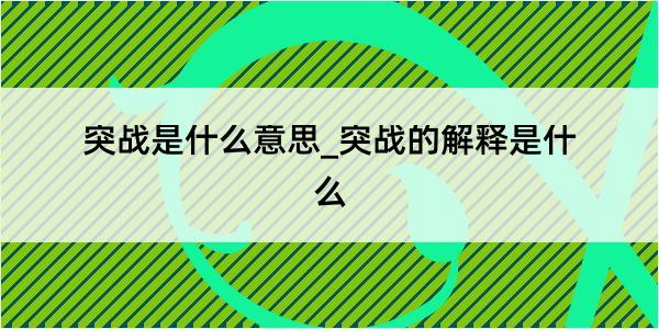 突战是什么意思_突战的解释是什么