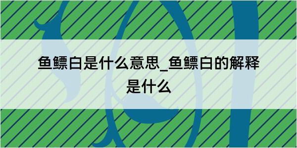 鱼鳔白是什么意思_鱼鳔白的解释是什么