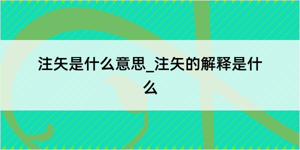 注矢是什么意思_注矢的解释是什么