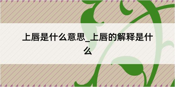 上唇是什么意思_上唇的解释是什么