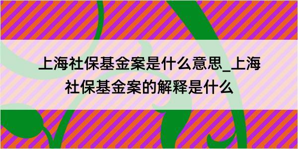 上海社保基金案是什么意思_上海社保基金案的解释是什么