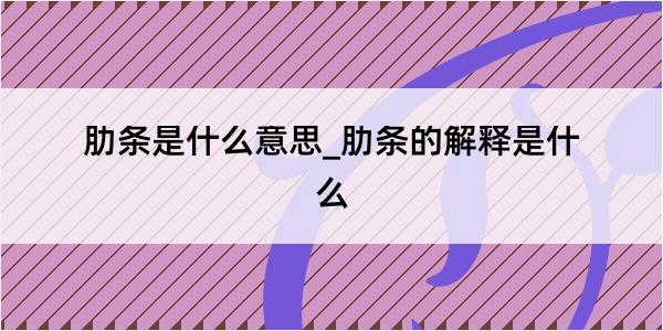 肋条是什么意思_肋条的解释是什么