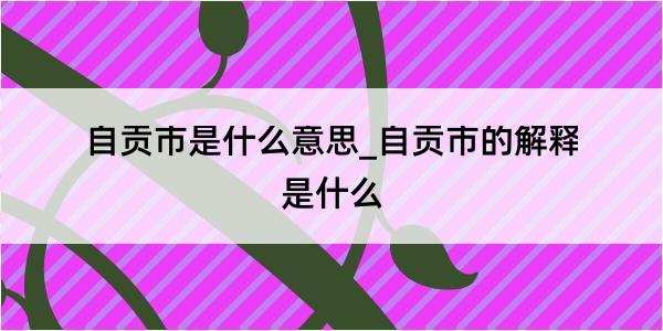 自贡市是什么意思_自贡市的解释是什么