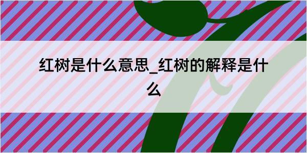 红树是什么意思_红树的解释是什么