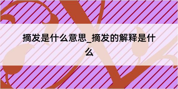 摘发是什么意思_摘发的解释是什么