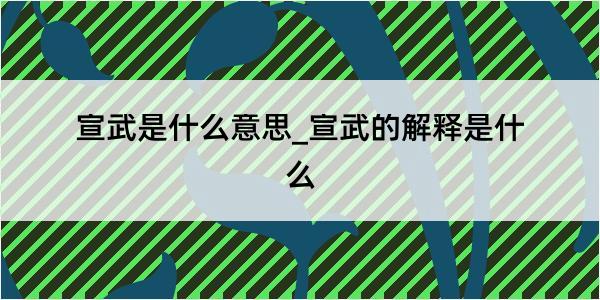 宣武是什么意思_宣武的解释是什么