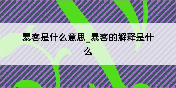 暴客是什么意思_暴客的解释是什么