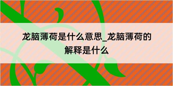 龙脑薄荷是什么意思_龙脑薄荷的解释是什么