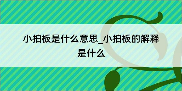 小拍板是什么意思_小拍板的解释是什么