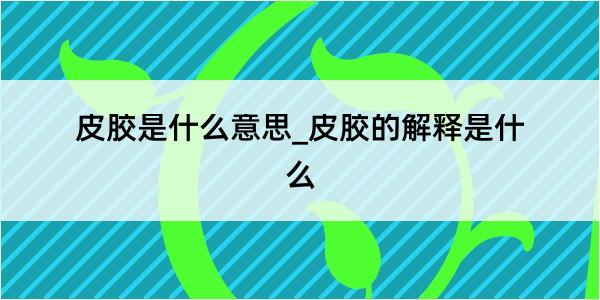 皮胶是什么意思_皮胶的解释是什么