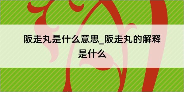 阪走丸是什么意思_阪走丸的解释是什么