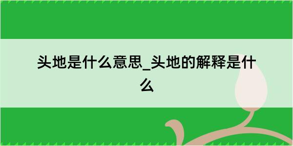 头地是什么意思_头地的解释是什么