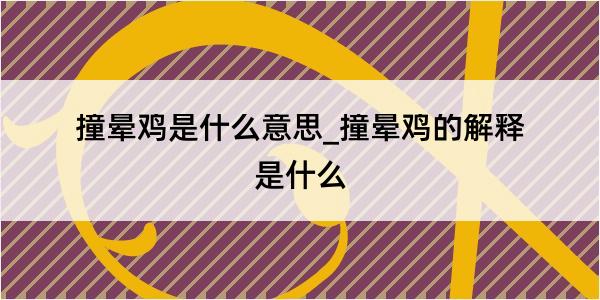 撞晕鸡是什么意思_撞晕鸡的解释是什么