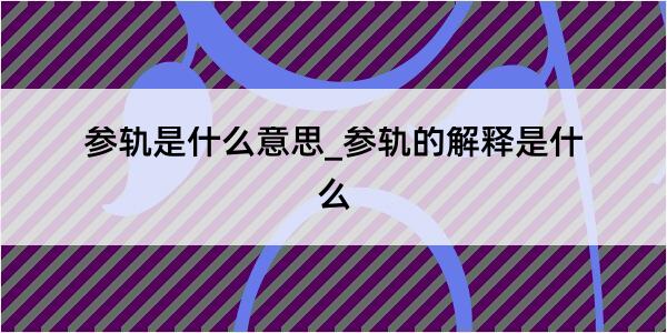 参轨是什么意思_参轨的解释是什么