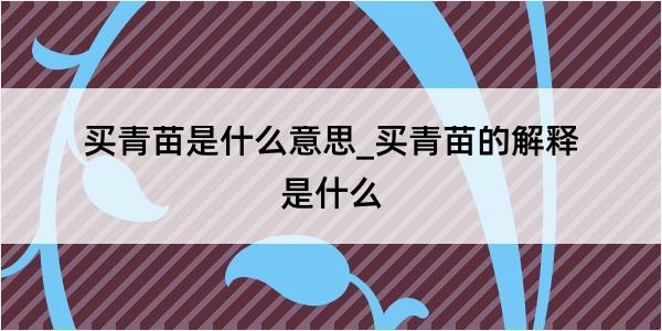 买青苗是什么意思_买青苗的解释是什么