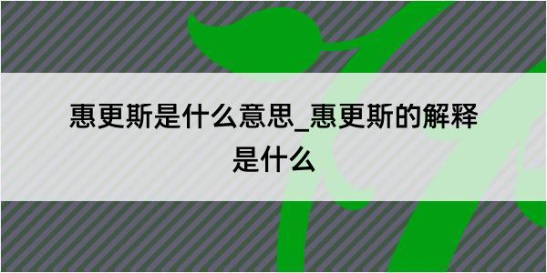 惠更斯是什么意思_惠更斯的解释是什么