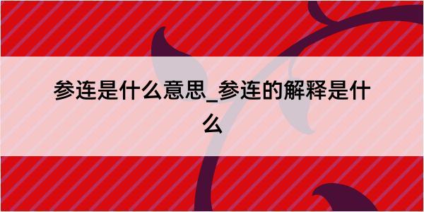 参连是什么意思_参连的解释是什么