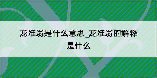 龙准翁是什么意思_龙准翁的解释是什么