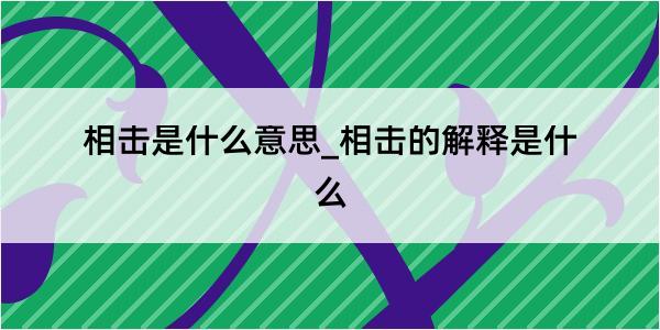 相击是什么意思_相击的解释是什么