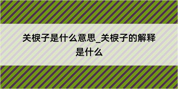 关棙子是什么意思_关棙子的解释是什么