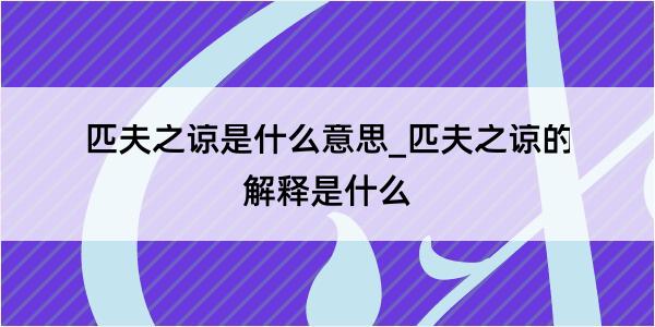 匹夫之谅是什么意思_匹夫之谅的解释是什么