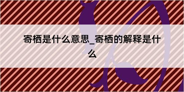 寄栖是什么意思_寄栖的解释是什么