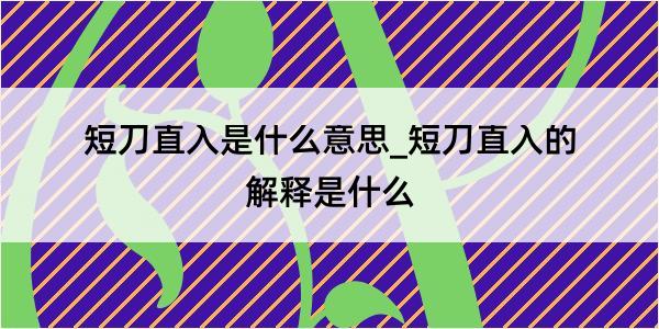 短刀直入是什么意思_短刀直入的解释是什么