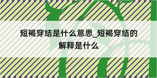 短褐穿结是什么意思_短褐穿结的解释是什么