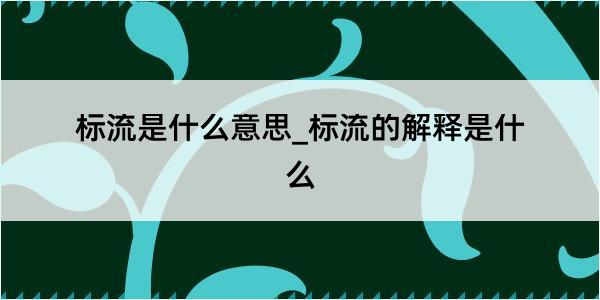 标流是什么意思_标流的解释是什么